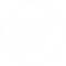 Ico01