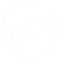 Ico03