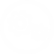Ico04